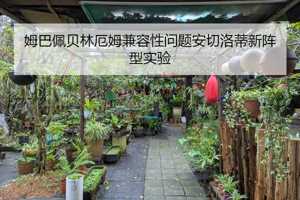 姆巴佩贝林厄姆兼容性问题安切洛蒂新阵型实验