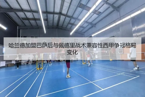 哈兰德加盟巴萨后与佩德里战术兼容性西甲争冠格局变化
