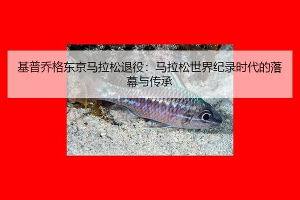 ji-pu-qiao-ge-dong-jing-ma-la-song-tui-yi-ma-la-song-shi-jie-ji-lu-shi-dai-de-luo-mu-yu-chuan-cheng-3-321.jpg